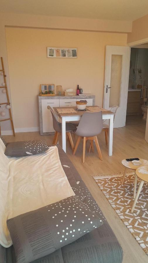 Chateauroux : Bel Appartement Avec Balcon Exterior photo